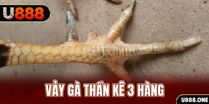 88vin nổ hũ đổi thưởng . ai