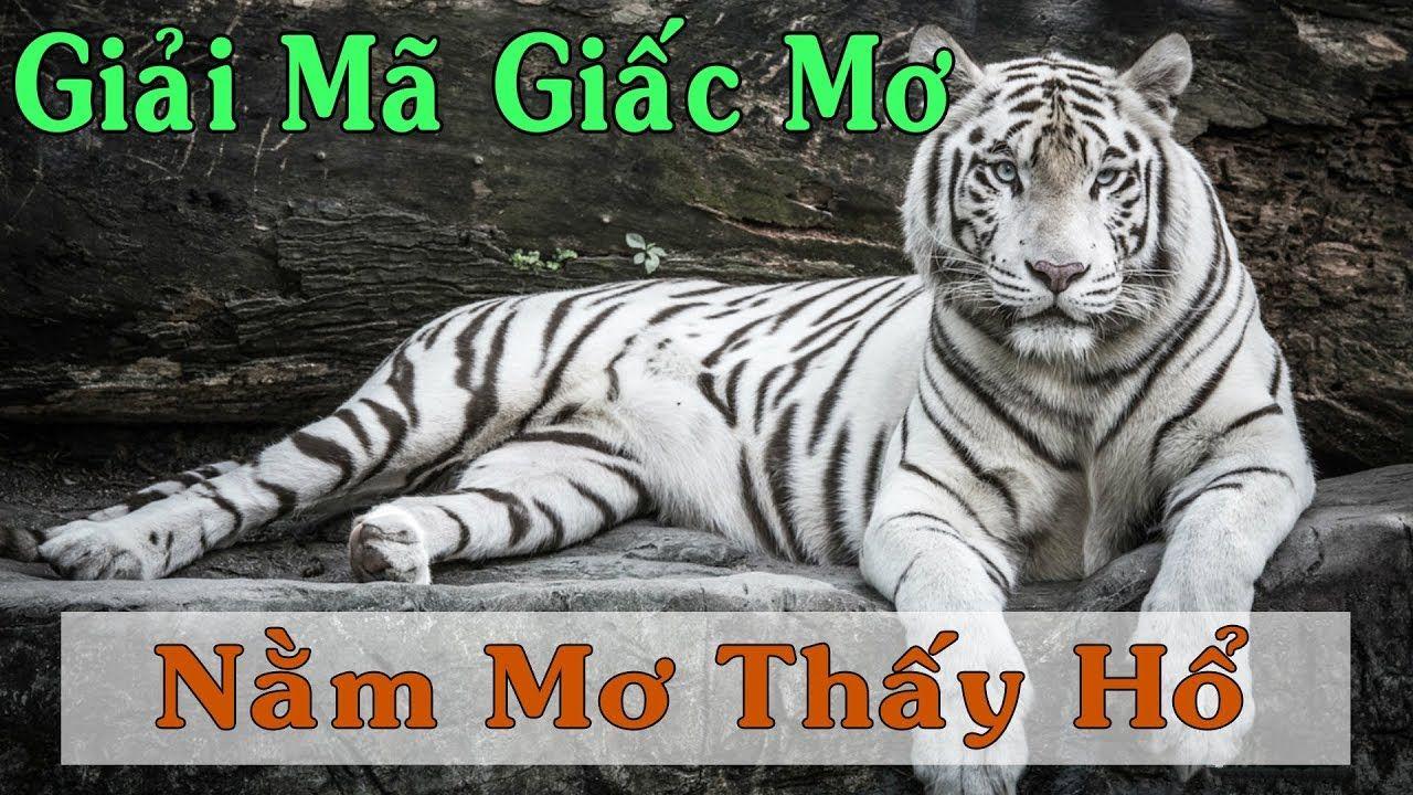 88vin xổ số miền trung