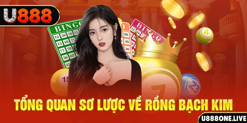 88vin how to win at slot machines