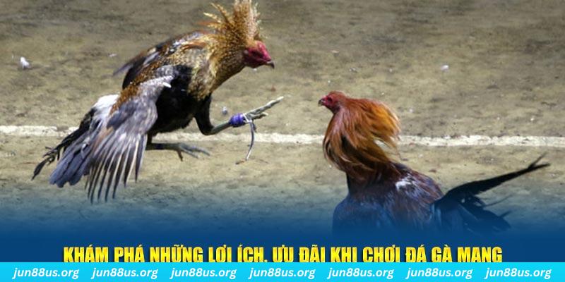 88vin Tài Xỉu 2