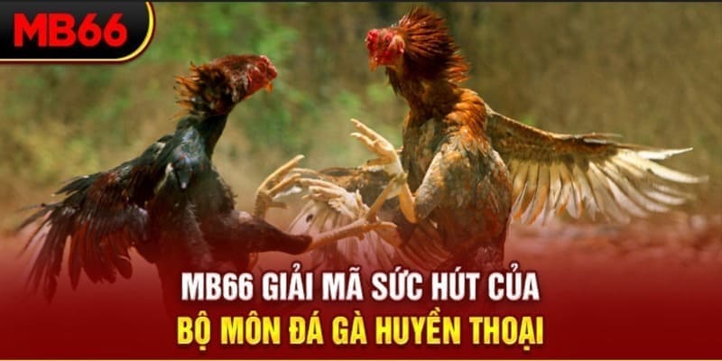 88vin long bảo trong baccarat là gì