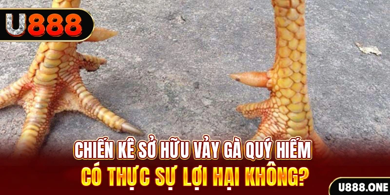 88vin game cá cược máy bay