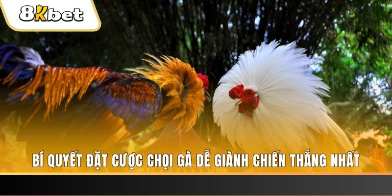 88vin may club nổ hũ