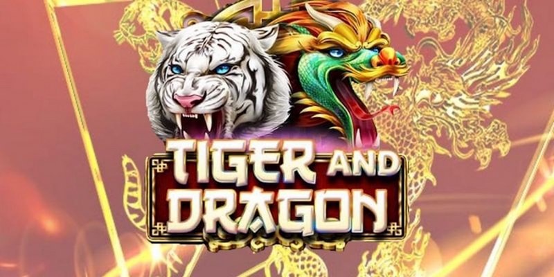 88vin cá cược tiếng anh là gì