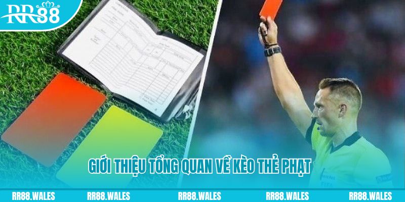 88vin đá gà trực tiếp c1